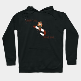 Candy Cane Holiday Inspired Design Hoodie